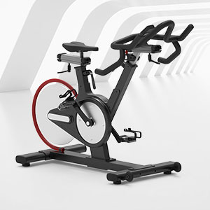 BSE-106專業(yè)健身房動(dòng)感單車